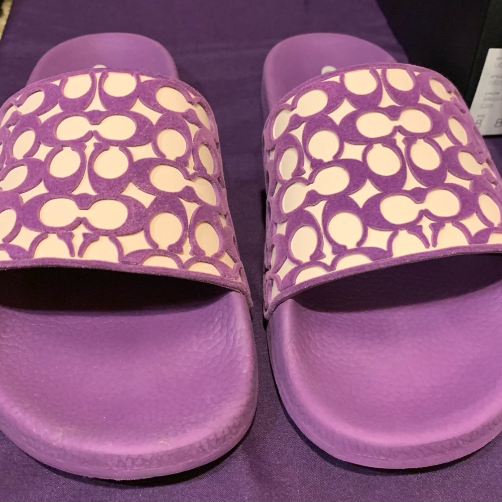 NIB Coach Udele Signature Slides
